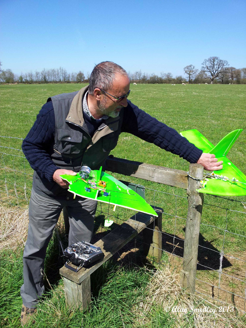 Broken Plane in fence